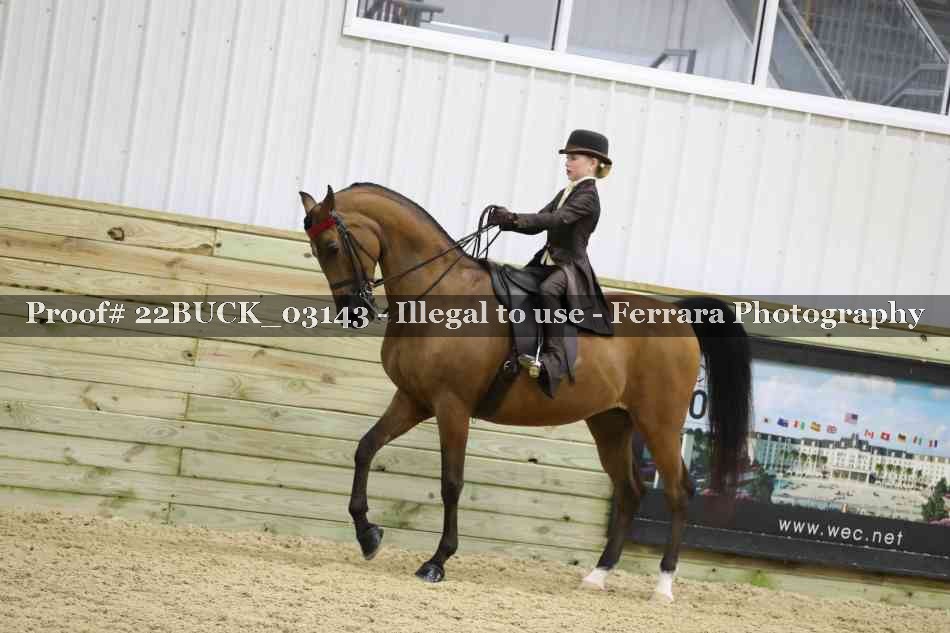 Proof 22BUCK_03143