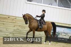22BUCK_03143 proof