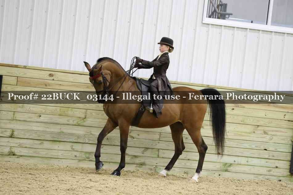 Proof 22BUCK_03144