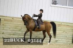 22BUCK_03144 proof