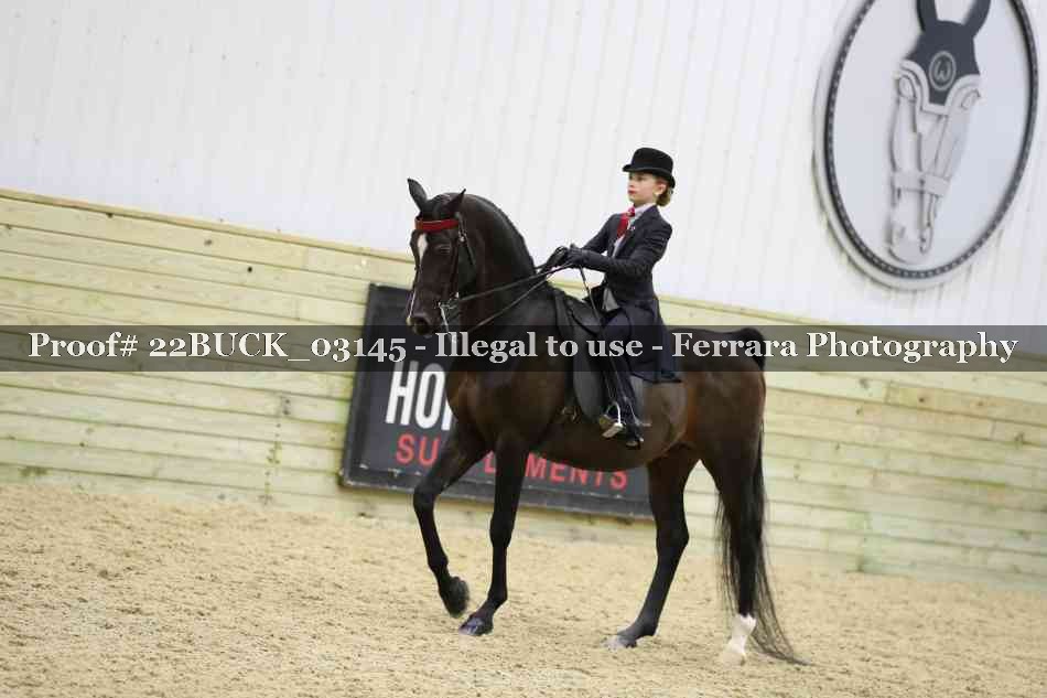 Proof 22BUCK_03145