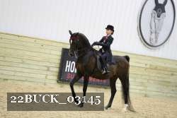 22BUCK_03145 proof