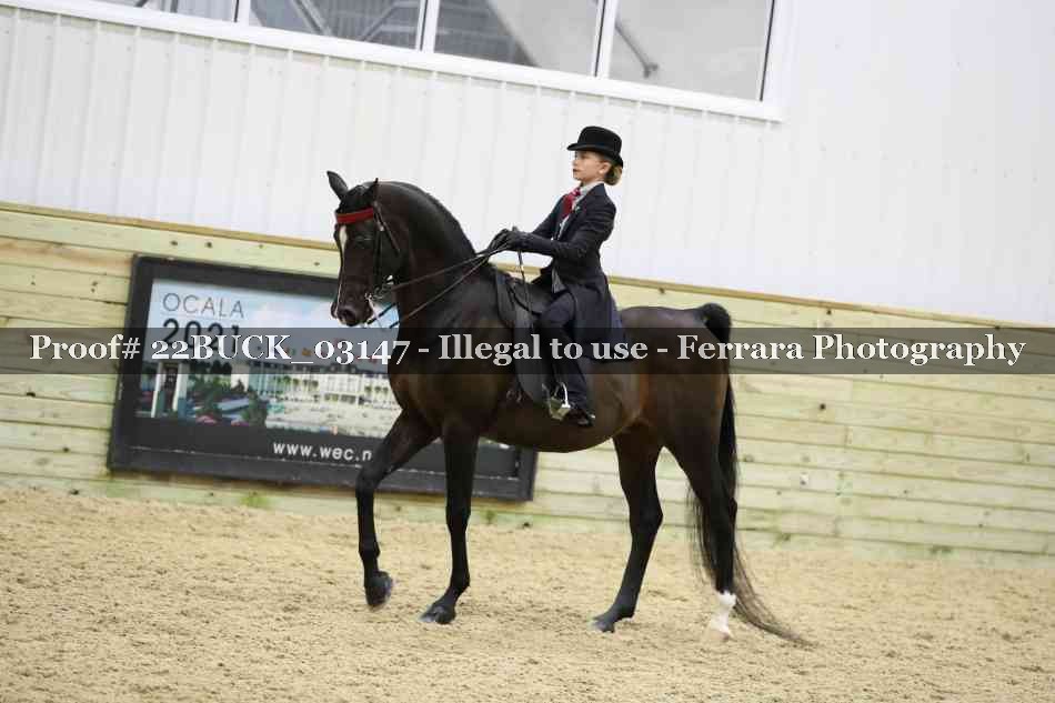 Proof 22BUCK_03147