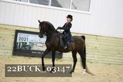 22BUCK_03147 proof