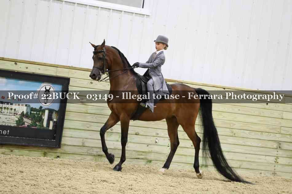 Proof 22BUCK_03149
