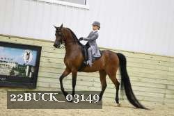 22BUCK_03149 proof
