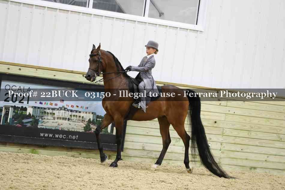 Proof 22BUCK_03150