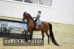 22BUCK_03150 proof