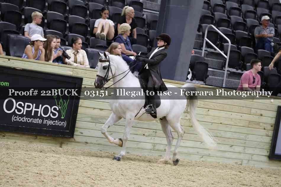 Proof 22BUCK_03151