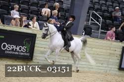 22BUCK_03151 proof
