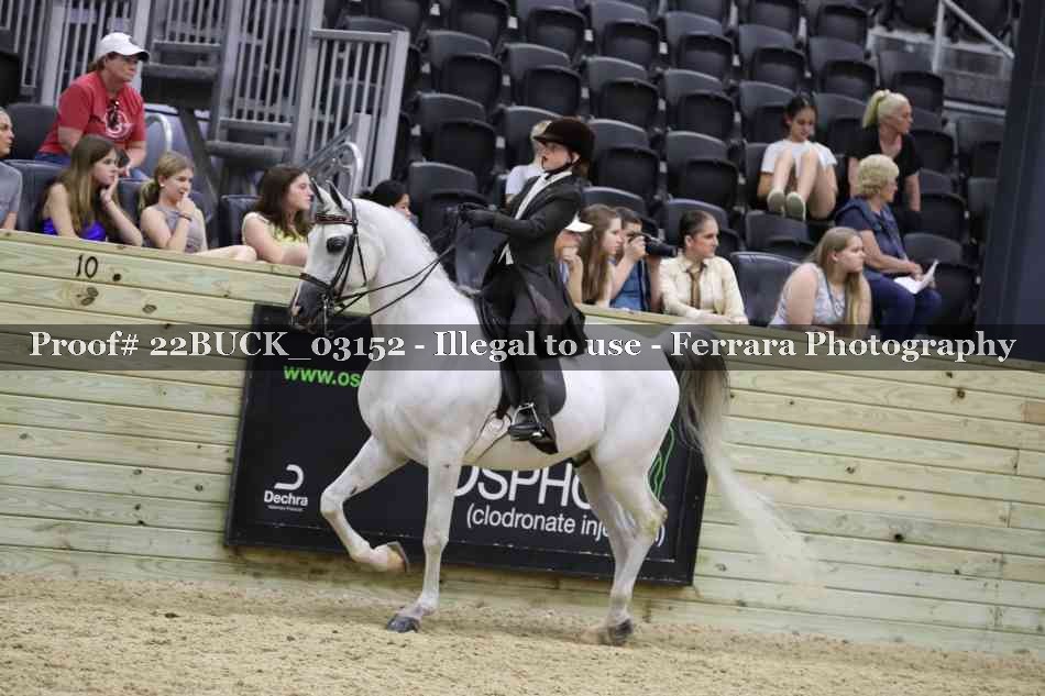 Proof 22BUCK_03152
