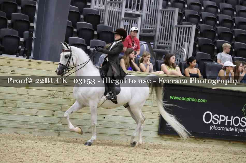Proof 22BUCK_03153