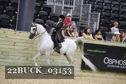 22BUCK_03153 proof