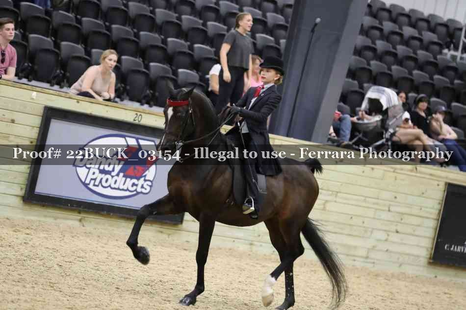 Proof 22BUCK_03154