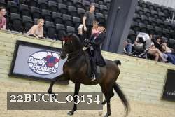 22BUCK_03154 proof