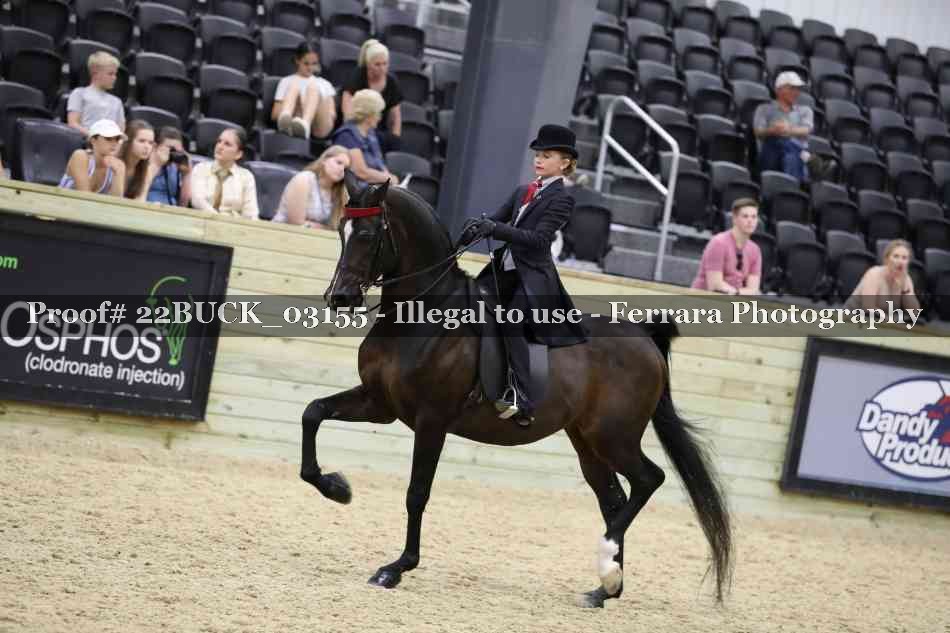 Proof 22BUCK_03155