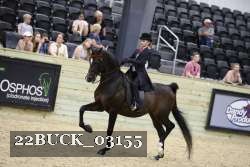 22BUCK_03155 proof