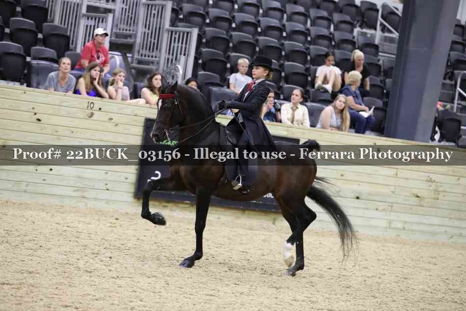 Proof 22BUCK_03156