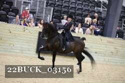 22BUCK_03156 proof