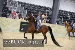22BUCK_03157 proof