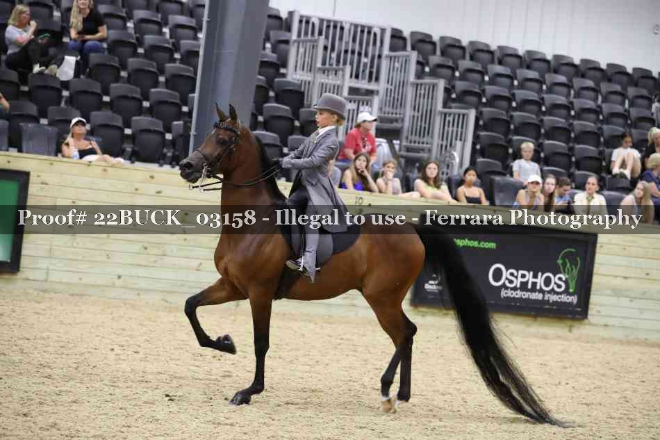 Proof 22BUCK_03158