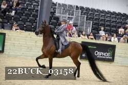 22BUCK_03158 proof