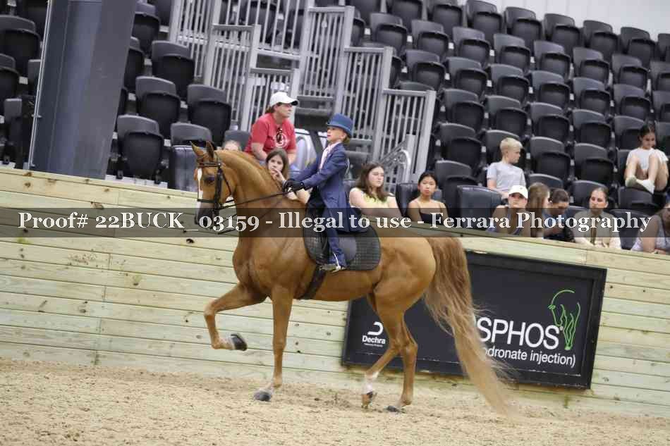 Proof 22BUCK_03159