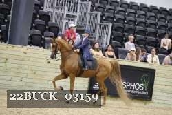 22BUCK_03159 proof