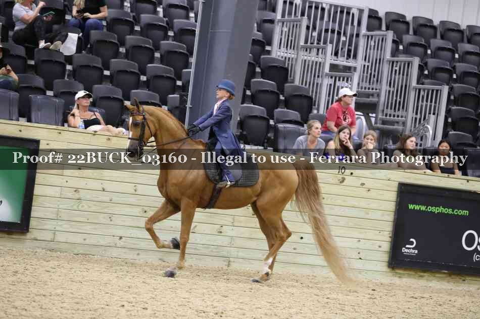 Proof 22BUCK_03160
