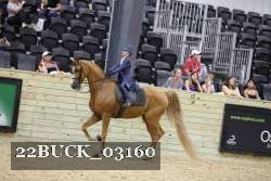 22BUCK_03160 proof