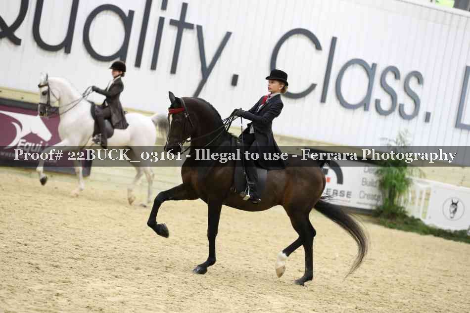 Proof 22BUCK_03161