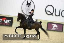 22BUCK_03162 proof