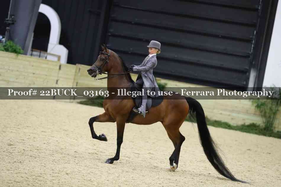 Proof 22BUCK_03163