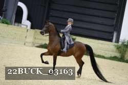 22BUCK_03163 proof
