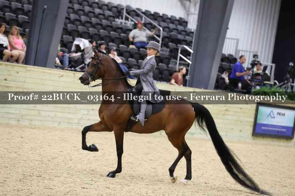 Proof 22BUCK_03164