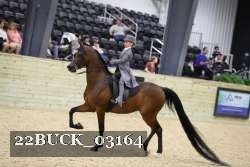 22BUCK_03164 proof