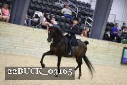 22BUCK_03165 proof