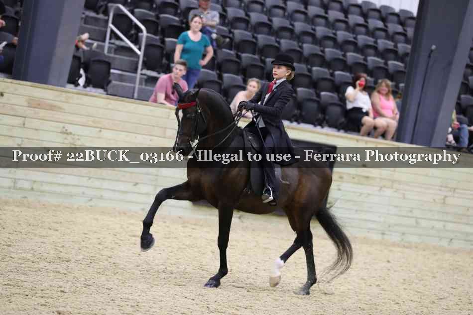 Proof 22BUCK_03166