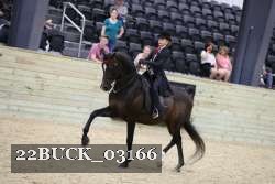 22BUCK_03166 proof