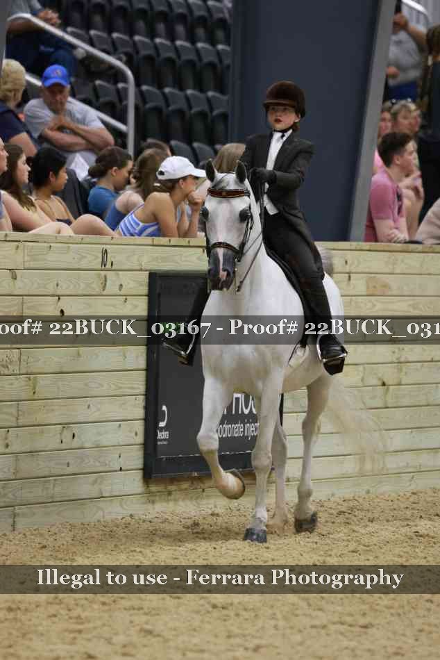 Proof 22BUCK_03167