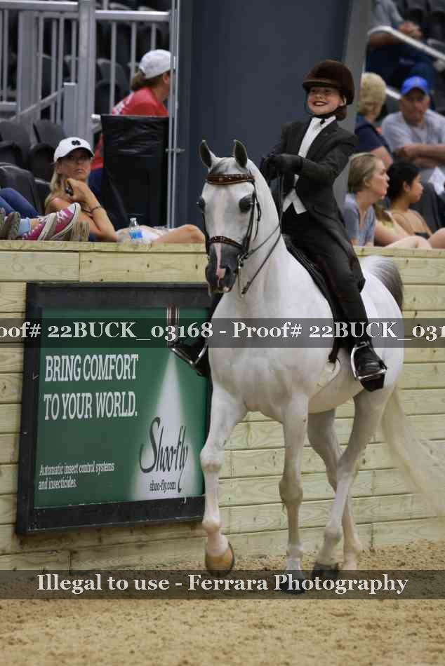 Proof 22BUCK_03168