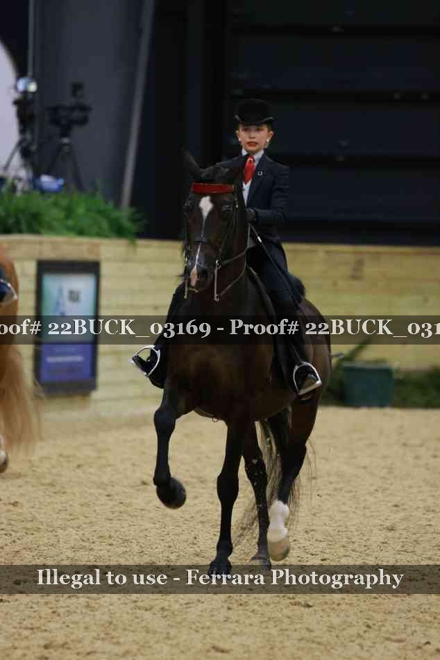 Proof 22BUCK_03169