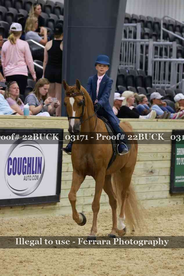 Proof 22BUCK_03171