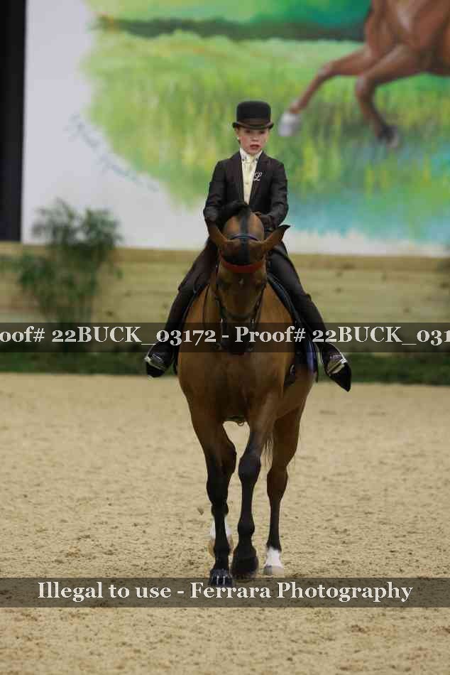Proof 22BUCK_03172