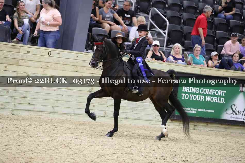 Proof 22BUCK_03173
