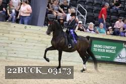 22BUCK_03173 proof