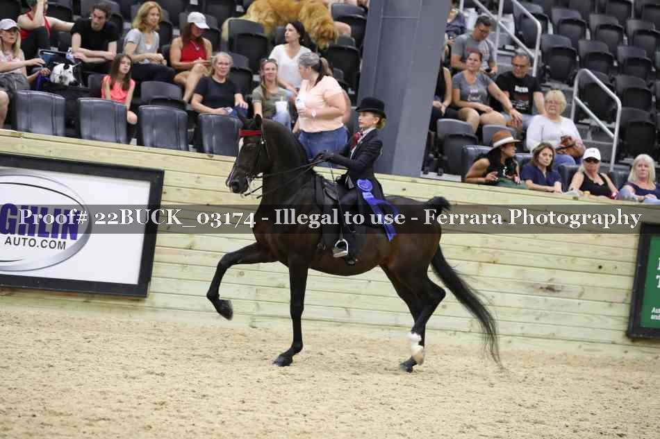 Proof 22BUCK_03174