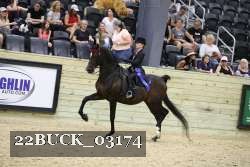 22BUCK_03174 proof