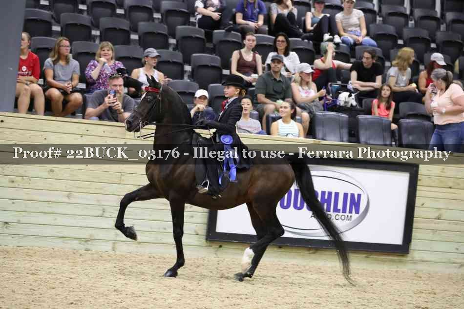 Proof 22BUCK_03176