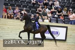22BUCK_03176 proof